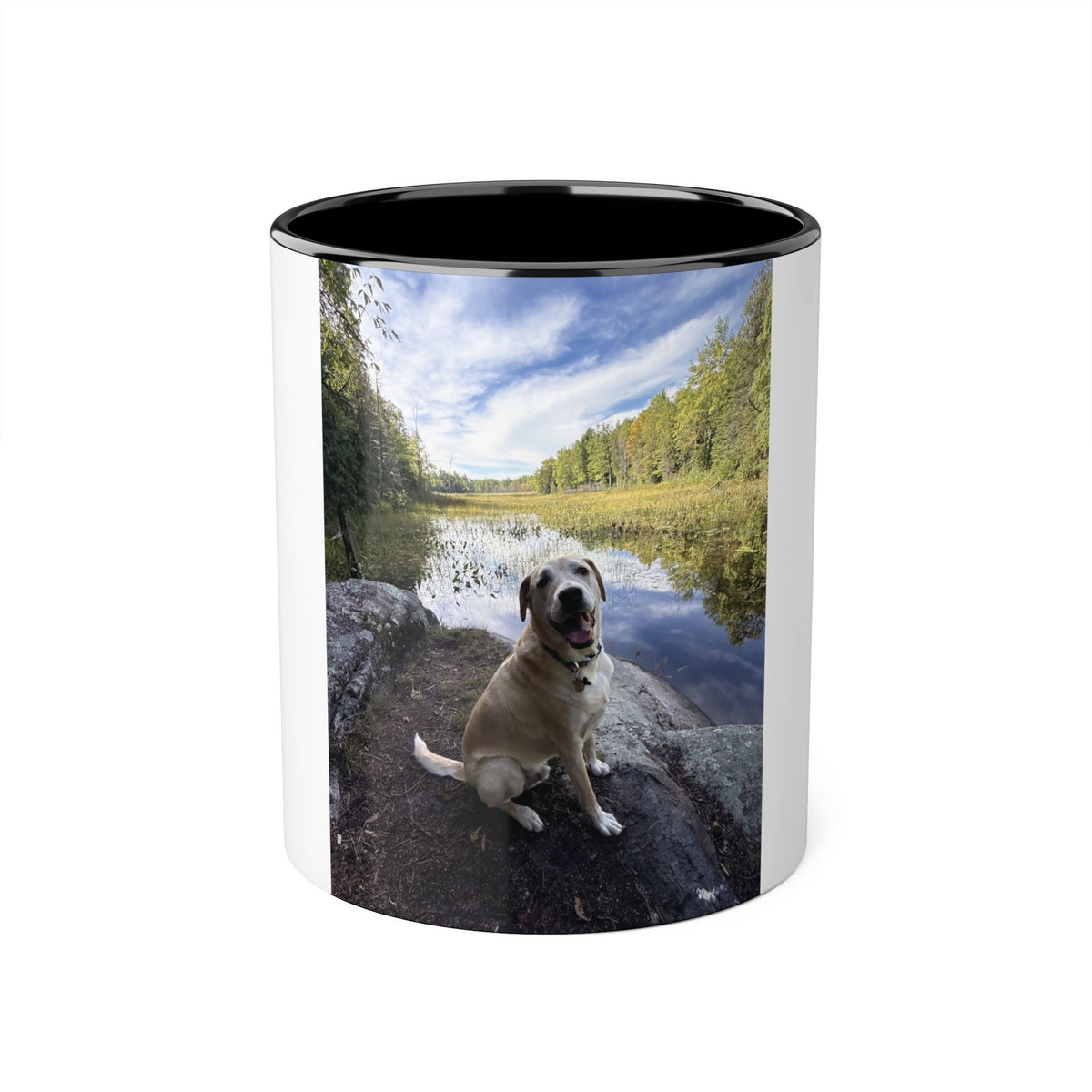 Personalised Pet Photo Mug — 11 oz